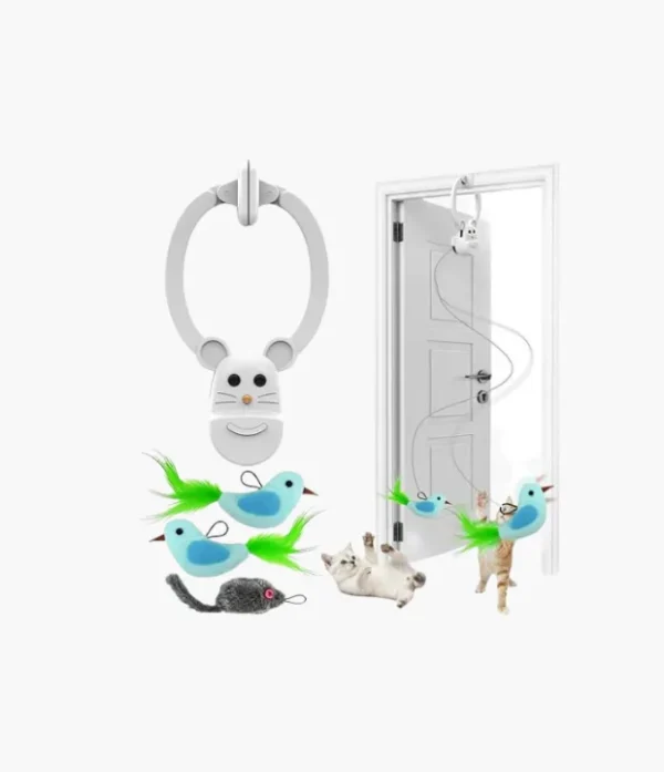 Cat Toys